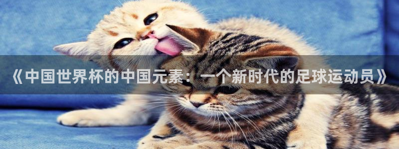 世界杯预选赛赛程表:《中国世界杯的中国元素:一个新时代的足球运动员》
