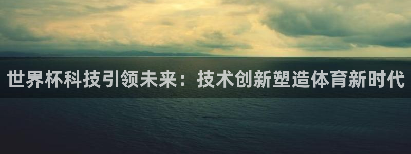 2026世界杯官网入口:世界杯科技引领未来:技术创新塑造体育新时代