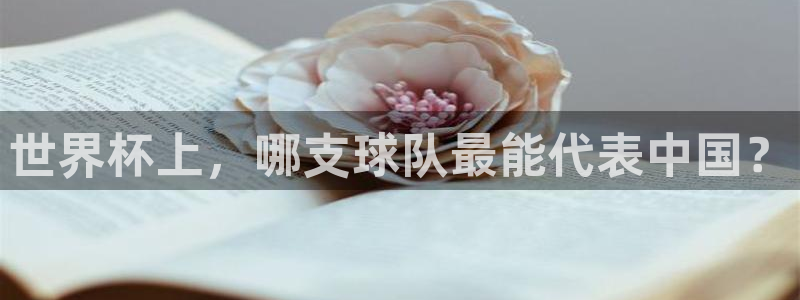 世界杯预选赛直播:世界杯上,哪支球队最能代表中国?