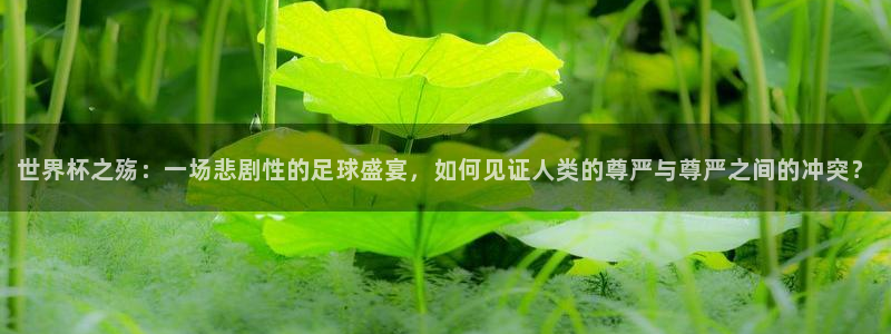2026世界杯亚洲区预选赛:世界杯之殇:一场悲剧性的足球盛宴,如何见证人类的尊严与尊严之间的冲突?