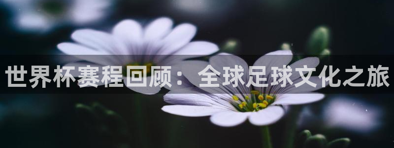 世界杯2026比赛时间表:世界杯赛程回顾:全球足球文化之旅
