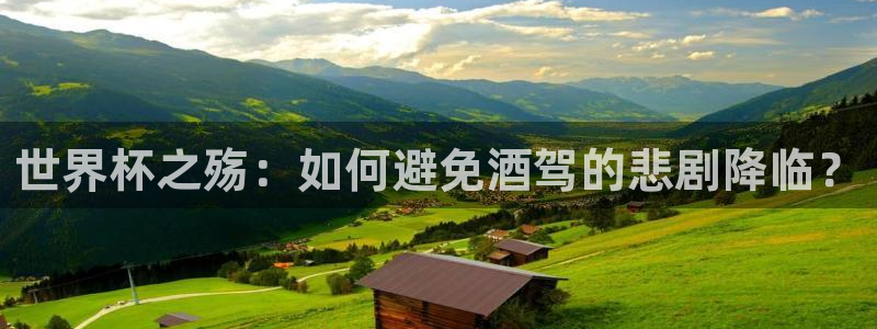 26世界杯:世界杯之殇:如何避免酒驾的悲剧降临?